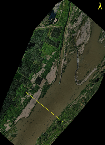 image5.png