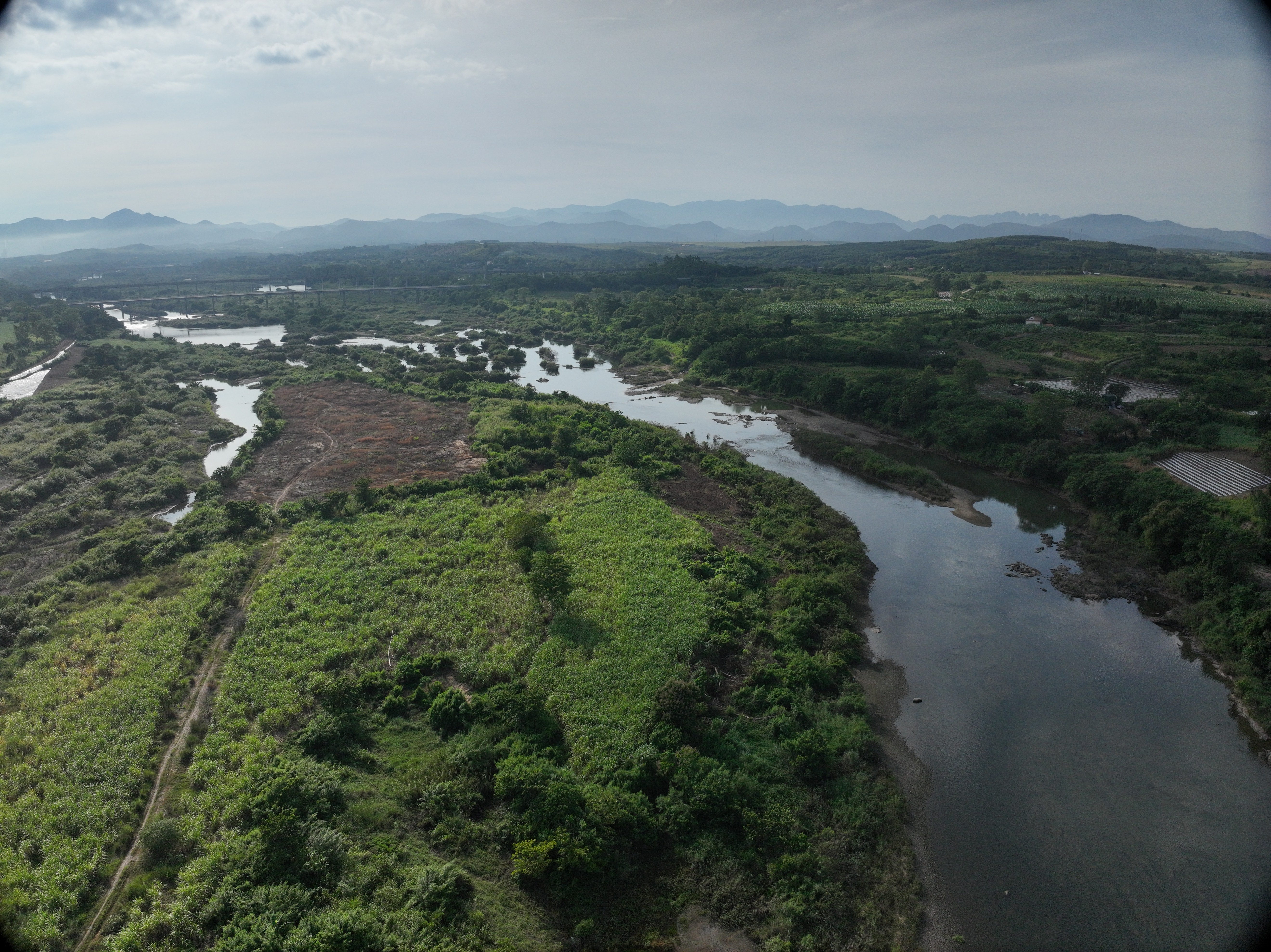 DJI_20240824083546_0001_D.JPG